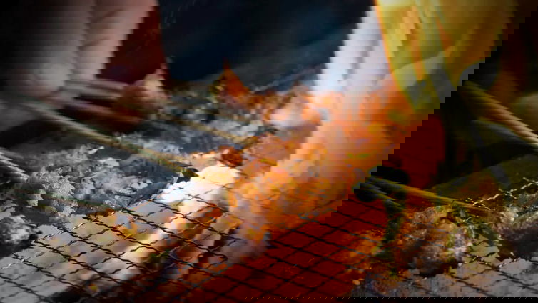 Immagine di È ufficialmente inizia l'era della carne coltivata