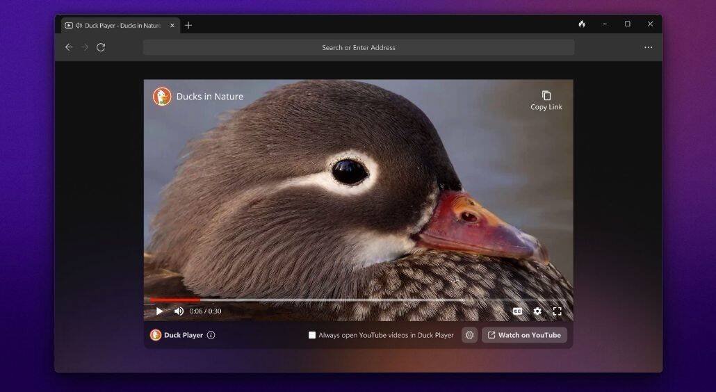 Immagine di Arriva il browser di DuckDuckGo per chi ci tiene alla privacy