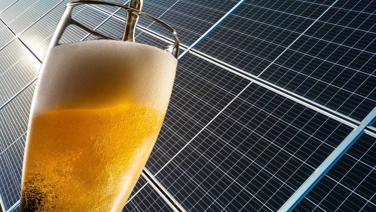 Immagine di Pannelli solari per combattere la siccità e avere una birra migliore
