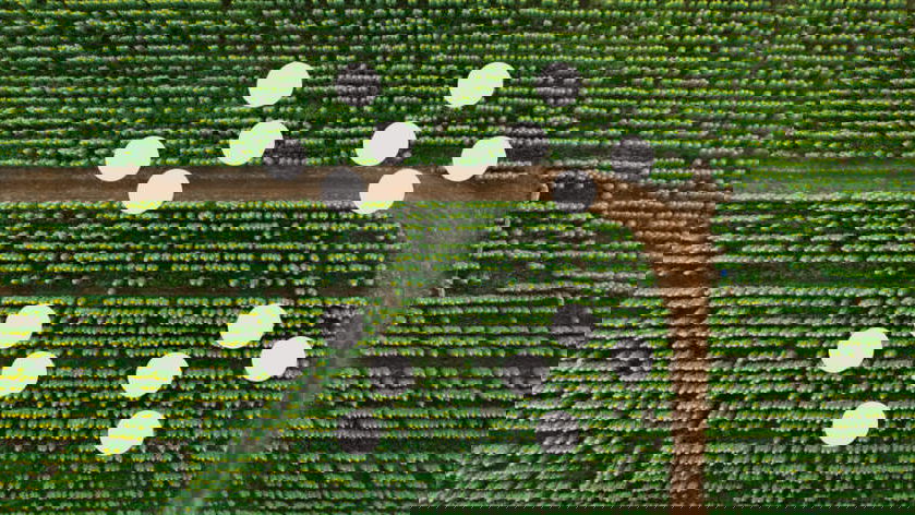 Immagine di IBM aiuta le imprese a ridurre le emissioni con Cloud Carbon Calculator