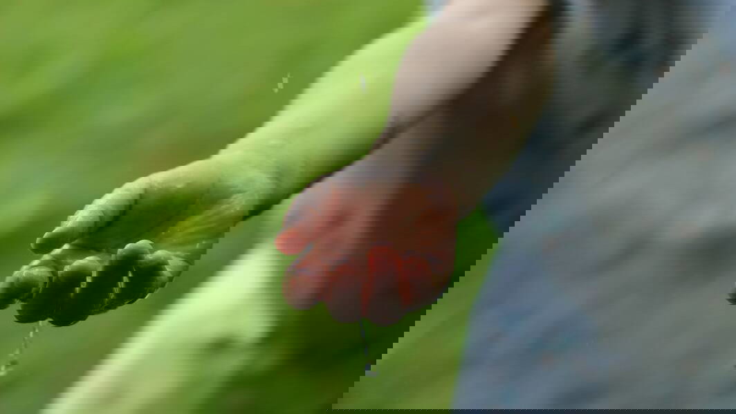 Immagine di Gestire il ciclo di vita di un prodotto per ridurre il rischio idrico